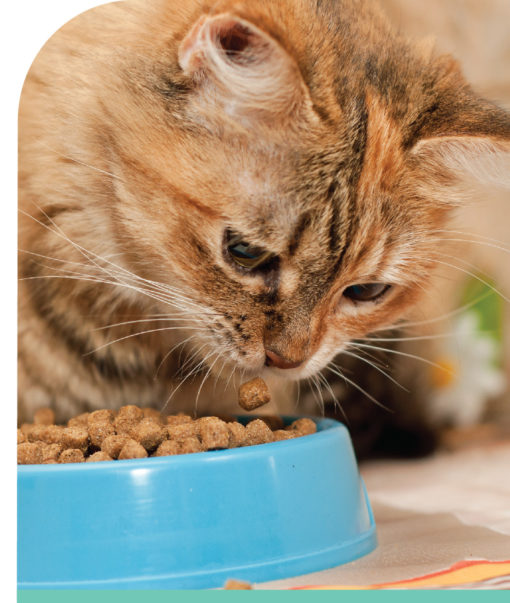 Small Animal Nutrition Short Course