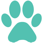 certificate ii in animal studies