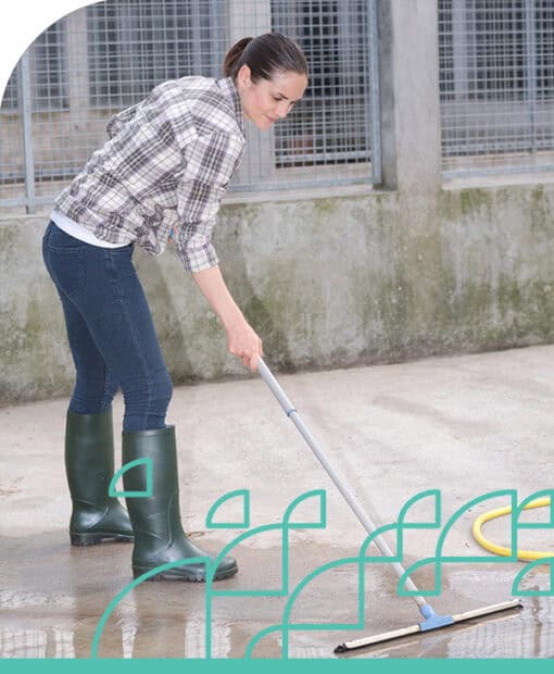 Maid cleaning the floor with a mop in an animal care facility for infection prevention.