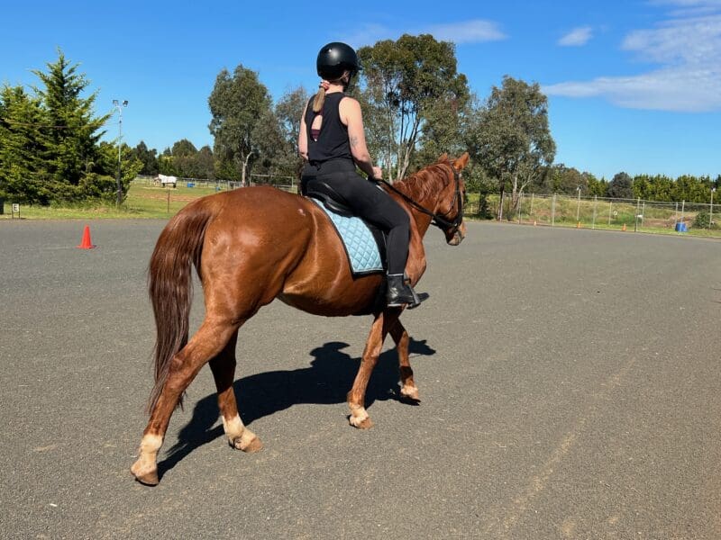 Horse riding training for students at Australian College of Animal Care in a spacious outdoor arena.